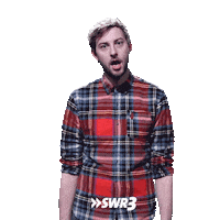 Happy No Way Sticker by SWR3