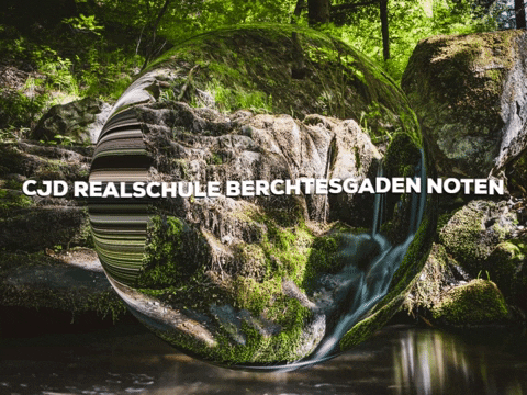 Laugh Smile GIF by PrivatschulenPORTAL.de