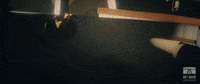 Cat Hug GIF by 10e Ave Productions