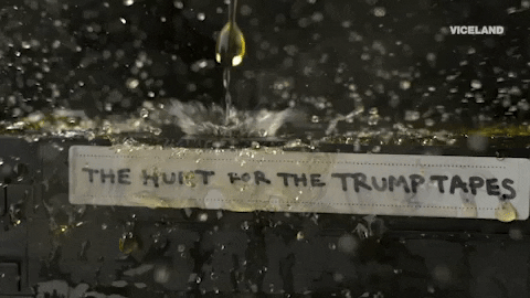 golden shower pee tape GIF by THE HUNT FOR THE TRUMP TAPES
