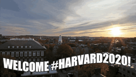 GIF by Harvard University