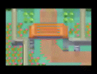 Pokemon Emerald GIF by Pokémon