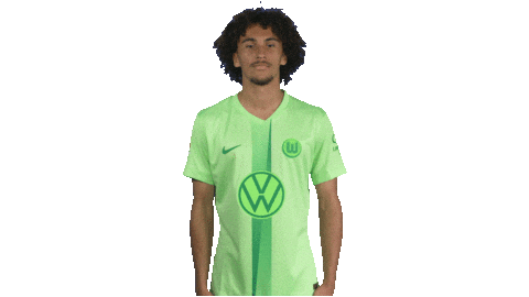 France Deal With It Sticker by VfL Wolfsburg