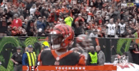 2018 Nfl Football GIF by NFL