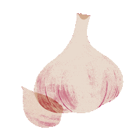 Vegetable Garlic Sticker by Erstwilder