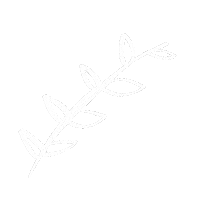 emilyzigo art nature aesthetic plant Sticker