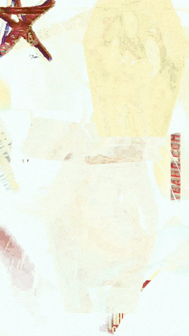 Shadowplayband giphyattribution GIF