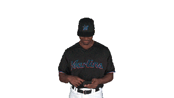 say what miami marlins Sticker by MLB