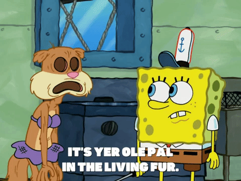 season 7 episode 3 GIF by SpongeBob SquarePants