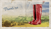 stellifymedia bbc slang northern ireland stellifymedia GIF