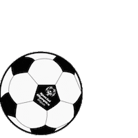 Sport Sob Sticker by Special Olympics Belgium