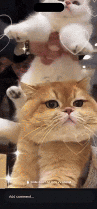 Tuff GIF