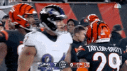 Baltimore Ravens Football GIF by NFL