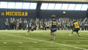 michigan lacrosse GIF by Michigan Athletics