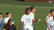 University Of North Carolina Hug GIF by UNC Tar Heels