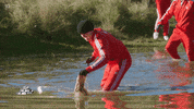 Searching Lost Property GIF by The Traitors Australia
