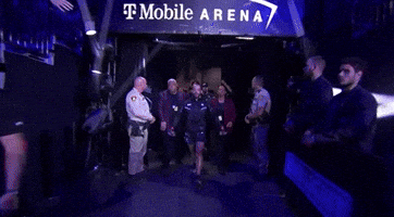 Mixed Martial Arts Sport GIF by UFC
