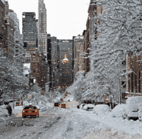 New York Snow GIF