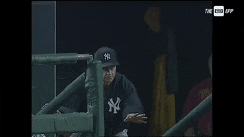 New York Yankees Sport GIF by YES Network