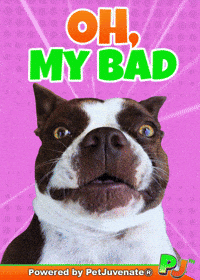 Im Sorry Forgive Me GIF by PetJuvenate - PJ