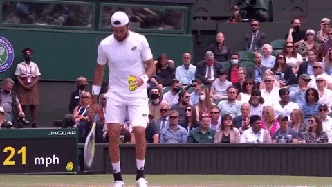 Sport GIF by Tennis Channel