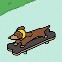 Skating Sausage Dog GIF by Joguman Studio