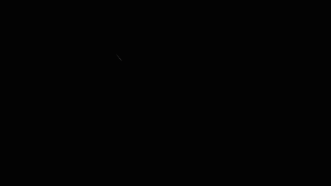 giphy.gif