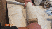 Food Pizza GIF by Rachael Ray Show