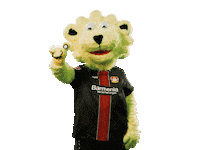 soccer Sticker by Bayer 04 Leverkusen