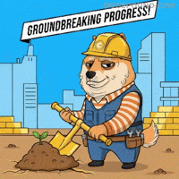 Shiba Inu Success GIF by Doge Pound