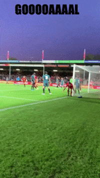 gaeagles celebration goal deventer gae GIF