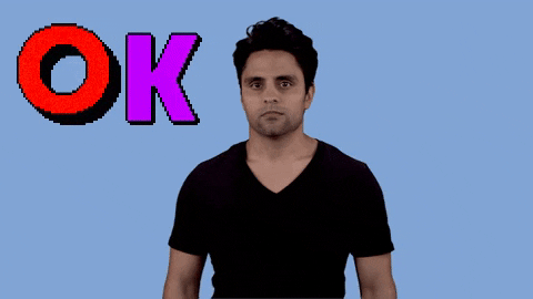 sure thing ok GIF by Ray William Johnson