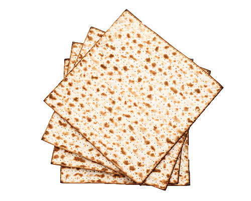 Jewish History Sticker by Alma