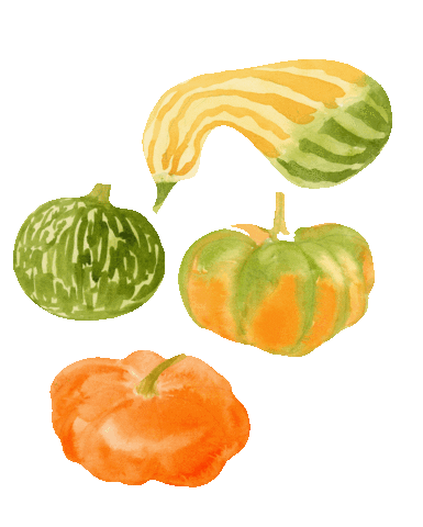 Farmers Market Dancing Sticker by Color Snack Creative Studio