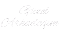 Friends Sticker