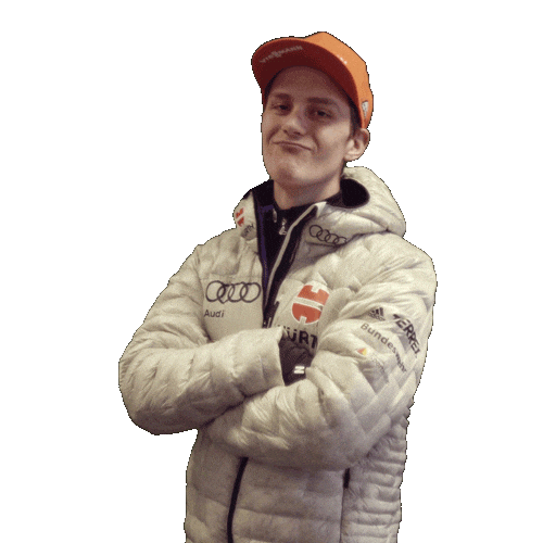 Here We Go Agree Sticker by Viessmann Sport