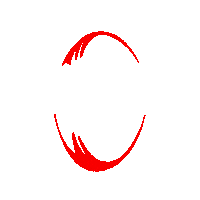 Coke Springboks Sticker by Grid Worldwide