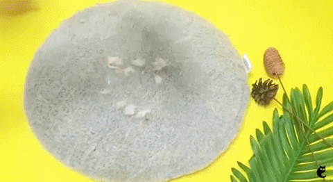 25THEBUCKETLIST giphygifmaker GIF