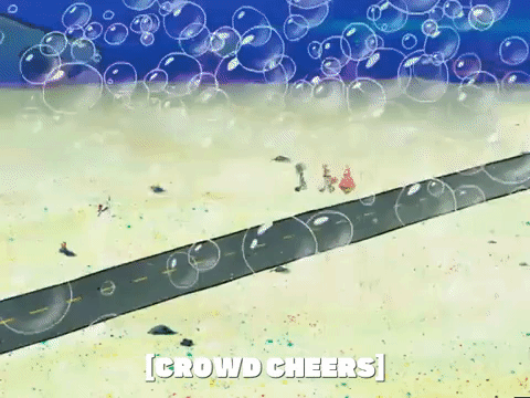 season 5 GIF by SpongeBob SquarePants