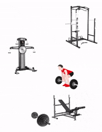 curvesbyhiitfit  GIF