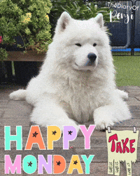Happy Monday GIF