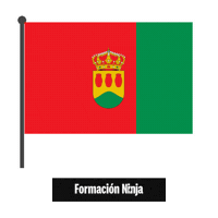 Comunidad De Madrid Flag Sticker by Formación Ninja
