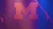 Go Blue Michigan Football GIF by Michigan Athletics