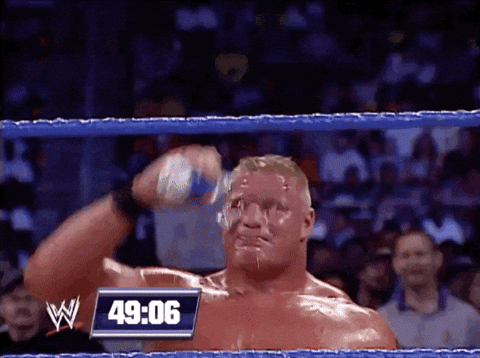 Brock Lesnar Sport GIF by WWE