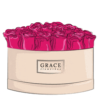 coffee surprise GIF by GRACE Flowerbox