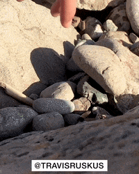 Art Breathe GIF by Travis Ruskus