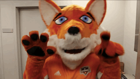 fox mascot GIF by Houston Dynamo