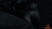 Angry Jared Leto GIF by Regal
