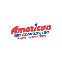 american horse Sticker by Katie