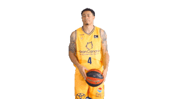 Liga Endesa Spinning Sticker by ACB